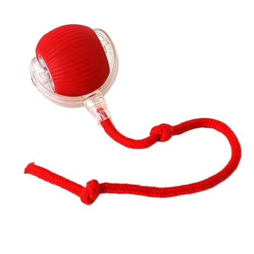 XJPXFQ Elektrisches Katzenballspielzeug, automatischer rollender Ball, Kunstschwanz, intelligentes Haustier, interaktives Spielzeug, Hunde- und Katzentraining, USB wiederaufladbar(Style 1 Red) von XJPXFQ