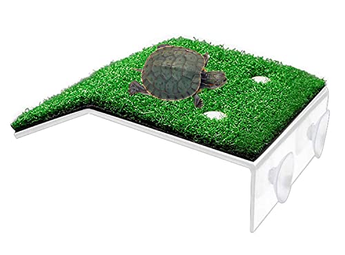 XMHF Schildkröten-Plattform, Schildkrötenrampe, Reptilienleiter, ruhende Terrasse, Aquarium, Schildkröte, Dock, schwimmende Dekoration für Reptilien, Frosch, Terrapin Medium von XMHF
