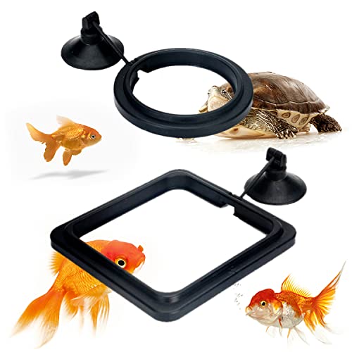 2 Stück XPOOP Fischfutterring, Futterring Aquarium, Fisch Futterring Teich, Aquarium Feeding Station, Futterring mit Saugnapf für Guppy, Bettas, Goldfisch, Schildkröte (Schwarz) von XPOOP