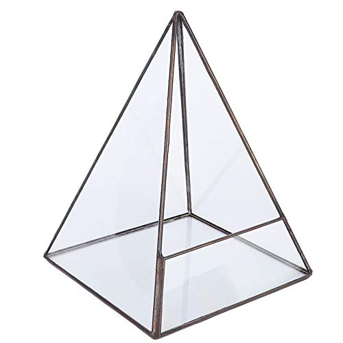 Geometrischer Terrarienbehälter aus Glas, Moderne Tischplatten-Pflanzregale für Sukkulenten von XPSSJMU