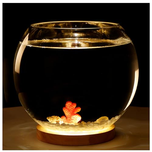 Kreative Desktop Glas Fisch Tank, Extra klares Glasgehäuse – Aquariumbehälter for Goldfische, Garnelen, Guppys mit USB-Basis for warmes und kaltes Licht von XRYUXECJ