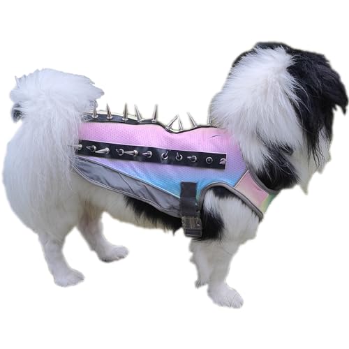 Hunde Kühlweste Sommer Hundegeschirr für Kleine Mittlere Große Hunde Reflektierende Spike Weste Hundegeschirr Hundeweste Servicehundejacke mit Spike-Schutzweste, Regenbogen, Klein von XSFANCYFUN