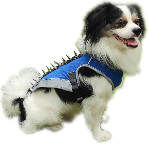 Kühlweste für Hunde, Sommer, Hundegeschirr für kleine, mittelgroße und große Hunde, reflektierende Spike-Weste, Hundegeschirr, Hundeweste, Servicehundejacke mit Spike-Schutzweste, blau, klein von XSFANCYFUN