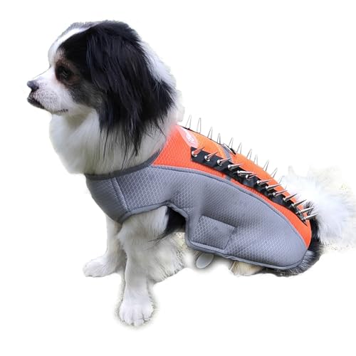 Kühlweste für Hunde, Sommer, Hundegeschirr für kleine und mittelgroße Hunde, reflektierend, kein Ziehen, Verdunstungsweste, Hundegeschirr, Hundeweste, Servicehundejacke mit Spike-Schutzweste, Orange, von XSFANCYFUN