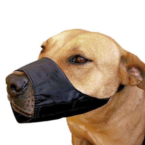 XT-DOG db936 Halfter Nylon verstellbar für Rassen Bull Mastiff, Rottweiler von XT-DOG