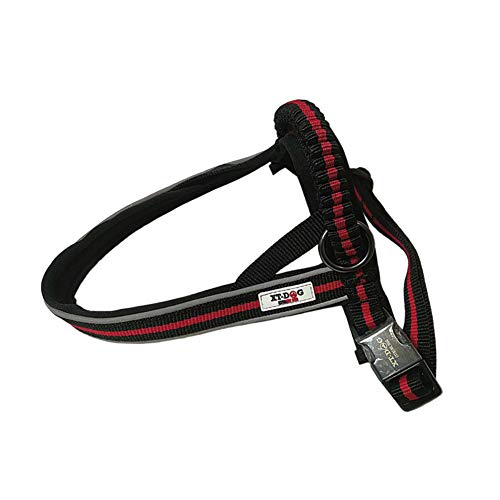 XT-Dog Arnes Next Xs von XT-DOG