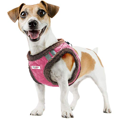 XT-Dog Arnes Nordic Fuchsia Xs von XT-DOG