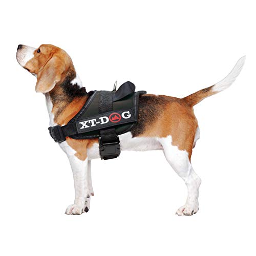 XT-Dog Sicherheits-Arnes S Schwarz von XT-DOG