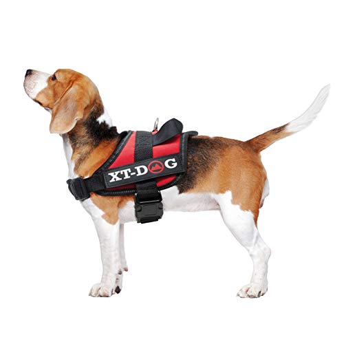 XT-Dog Sicherheits-Arnes XL, Rot von XT-DOG