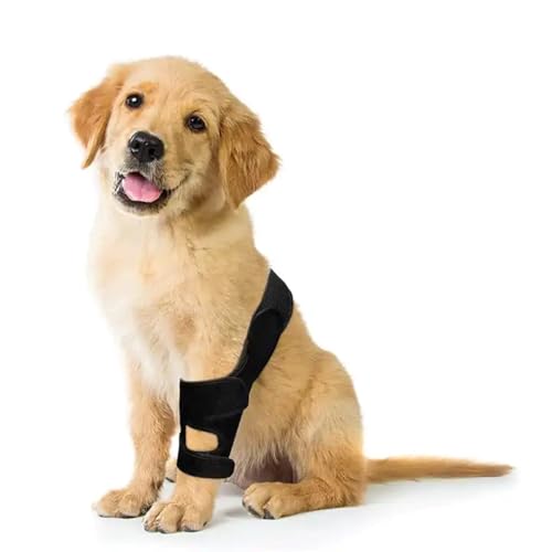 XTrador Gelenk Bandage für Hunde für Vorder und Hinterläufe Leckschutz und Stütze nach OP Hilfe bei Gelenkinstabilität (l) von XTrador