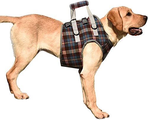 XTrador Hundegeschirr Gehhilfe für Hunde speziell bei Problemen mit der Schulter Tragegurt für verletzte, ältere oder im Bewegungsapperat eingeschränkte Hunde Rehabilitation Sicherheits Gehhilfe (S) von XTrador