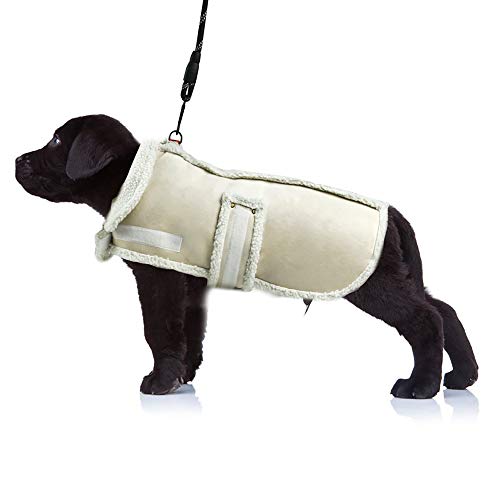 XUANQIFC Hunde-Winterjacke, warm, winddicht, Hundepullover für kleine Hunde, dicker Fleece-Hundemantel für mittelgroße und große Hunde (klein) von XUANQIFC