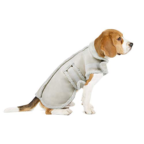 XUANQIFC Hunde-Winterjacke, warm, winddicht, Hundepullover für kleine Hunde, dicker Fleece-Hundemantel für mittelgroße und große Hunde (mittelgroß) von XUANQIFC