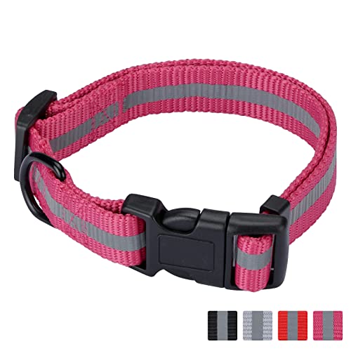 Reflektierendes Hundehalsband aus Nylon, verstellbar, für Welpen, kleine, mittelgroße und große Hunde (groß/fuchsia) von Xuanyu