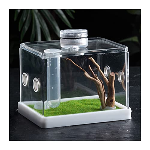 XUEHONG001 Acryl Reptilienzuchtbox, Transparent Reptile Habitat Terrarium Mit Kletternetz, Haustierzuchtfall Für Spinne Singwurm Grille Gottesanbeterin Skorpion Tausendfüßler von XUEHONG001