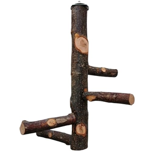 Bird Barch Stand Toy, 12 -Zoll -Natürlichkeitsholz -Vogelperch in Käfig, Holz -Papagei -Barsch, Papageienspielständer, Vogelkäfigzubehör von XUEYEGONGJI