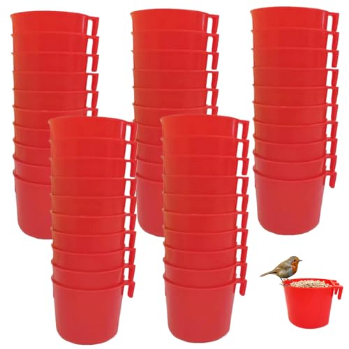 GameFowl -Rooster -Vorräte, 50pcs Plastiktaubeneon -Feeder, Hanging Chicken Feeder, Leicht zu entfernen Vogelfütterung und Wasserversorgung für Haustierpapagei -Selektrikett -Geflügelfutterhäuse von XUEYEGONGJI