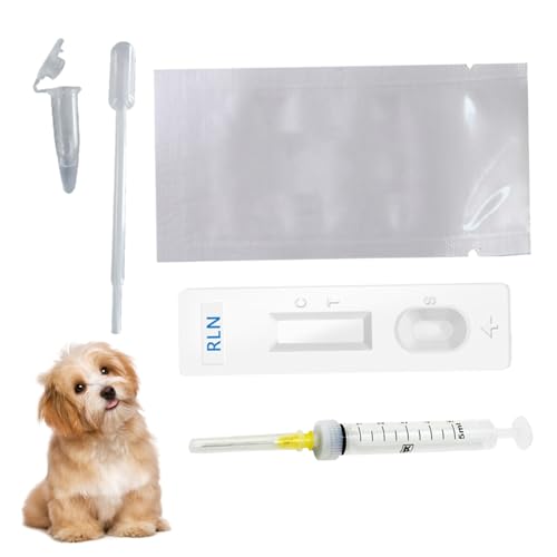 XUEYEGONGJI Hundeschwangerschaftstest Kit zu Hause, schnelle und genaue Erkennung Hundschwangerschaftstest mit Puffer, frühzeitig für Hunde für Hunde XUEYEGONGJI Hundeschwangerschaftstest Kit zu Hause, schnelle und genaue Erkennung Hundschwangerschaftstest mit Puffer, frühzeitig für Hunde für Hunde von XUEYEGONGJI