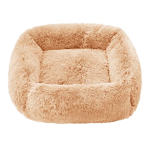 Beruhigendes Hundebett Schlafmatte Winter Katzenbett Quadratische Kuschelbetten Weiches Flauschiges Plüsch Welpenkissen für kleine mittelgroße Hunde Katzen-Aprikose,L 80x70cm von XUFXEUT