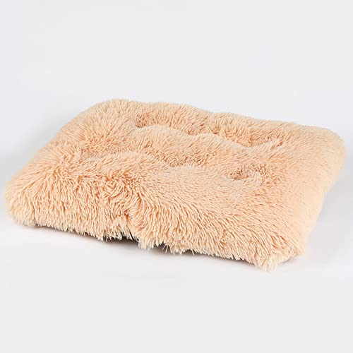 Hundebett Couch Bett Super Weiche Hundematte Kissen Katze Warm House Medium Kleines Schlafsofa Baumwolle Kissen Heimtierbedarf 2021-Champagner,53x30x10cm,Deutschland von XUFXEUT