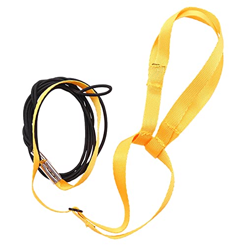 Pet Verkabelung und Leine, Parrot Verstellbare Leine Verkabelung - Pet Anti-Bite Rope Externe Verdrahtung und Leine (XL) von XUJIAN