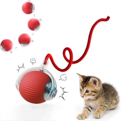 XUNNIU Neue Magic Ball Hund/Katzen,Interaktives katzenspielzeug elektrisch mit Schwanz, Automatisches intelligenzspielzeug für Katzen, interaktiver spielball für Katzen,Hunde,Chewie Rolling Ball,Rot von XUNNIU