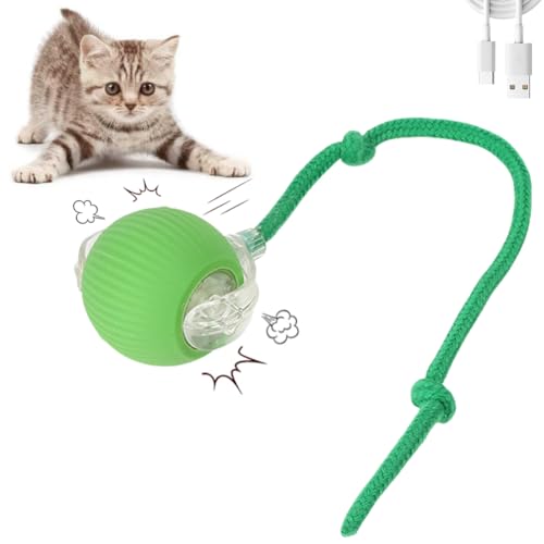 XUNNIU Neue Magic Ball Hund/Katzen,Interaktives katzenspielzeug elektrisch mit Schwanz,Automatisches intelligenzspielzeug für Katzen,interaktiver spielball für Katzen,Hund,Chewie Rolling Ball,Grün von XUNNIU