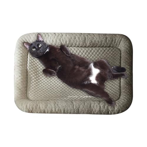 XUQEAYWD Haustier Kühlmatte, Kühlfunktion Für Hundebetten, Tragbares Bett Für Welpen Katzen Und Kaninchen Zum Schlafen In Hundezwingern Käfigen Wohnzimmer Und Küche XUQEAYWD Haustier Kühlmatte, Kühlfunktion Für Hundebetten, Tragbares Bett Für Welpen Katzen Und Kaninchen Zum Schlafen In Hundezwingern Käfigen Wohnzimmer Und Küche von XUQEAYWD