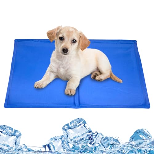 XUQEAYWD Kühlmatte Für Hunde,Gel Kühlmatte Für Katzen | Wasserdichtes Kühlkissen Bei Sommerhitze Für Katzen Auf Sofa Autositz Boden Raum Transportbox Garten Drinnen & Draußen XUQEAYWD Kühlmatte Für Hunde,Gel Kühlmatte Für Katzen | Wasserdichtes Kühlkissen Bei Sommerhitze Für Katzen Auf Sofa Autositz Boden Raum Transportbox Garten Drinnen & Draußen von XUQEAYWD