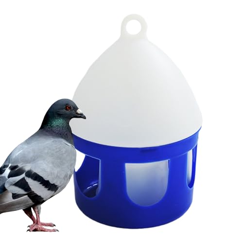XUQEAYWD Tauben Wasserspender - Vogel Wassertränke 2 Liter - Auslaufsicher Abnehmbar Für Geflügelhaltung Hühnerstall Enten XUQEAYWD Tauben Wasserspender - Vogel Wassertränke 2 Liter - Auslaufsicher Abnehmbar Für Geflügelhaltung Hühnerstall Enten von XUQEAYWD