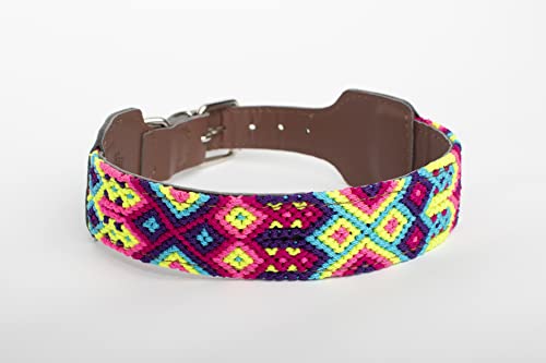 XUXO Hundehalsband, veganes Leder, handgefertigt, wasserabweisend, langlebig, Isla Mujeres, L von XUXO ARTESANIA CANINA