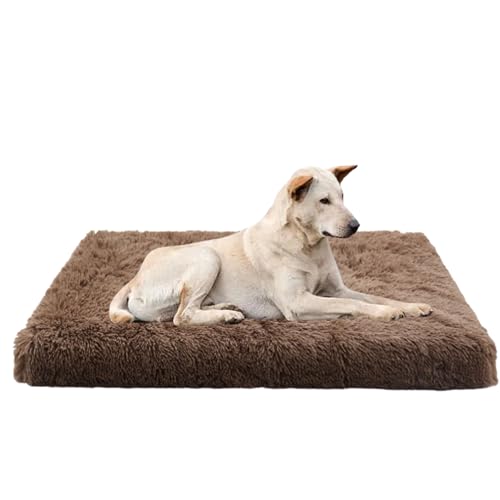 Haustierbett, Hundebett Katzenbett Hundekissen, Plüsch Hundesofa, Haustier Sofa Katzen Kissen katzenkorb, Waschbares Hundekäfigbett Zwinger-Auflage für Kleine, Mittelgroße & Große Hunde(50x40x5cm) von XXIUDEE