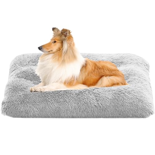 Haustierbett Hundebett, Haustier Sofa Waschbar Hundekissen, Anti Stress Hundekorb, Haustier-Bett-Matte, Zwinger-Auflage, Hundekäfigbett Welpenbett für Große, Mittelgroße & Kleine Hunde(75x50x7cm) von XXIUDEE