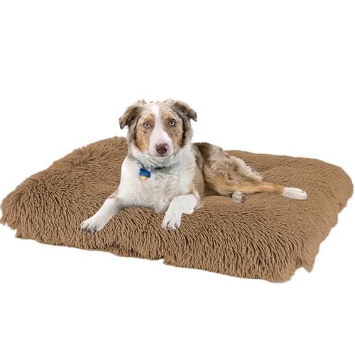 XXIUDEE Hundebett Katzenbett, Hundekissen rutschfest Haustierbett, Hundematratze Hundesofa, Anti Stress Hundekorb Hundekiste Matratze, Katzenkörbchen für Große, Mittelgroße & Kleine Hunde(65x48x8cm) von XXIUDEE