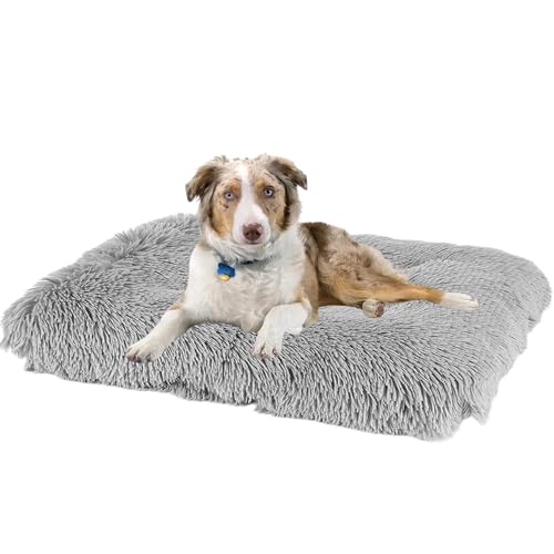 XXIUDEE Hundebett Katzenbett, Hundekissen rutschfest Haustierbett, Hundematratze Hundesofa, Anti Stress Hundekorb Hundekiste Matratze, Katzenkörbchen für Große, Mittelgroße & Kleine Hunde(65x48x8cm) von XXIUDEE