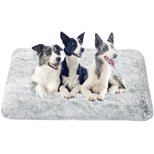 XXIUDEE Hundekissen Hundesofa Hundekorb, Katzenbett, Waschbar Hundekiste Matratze, Katzenbett Kissen, Zwinger-Auflage mit Anti-Rutsch-Boden für Katzen Große, Mittelgroße & Kleine Hunde(100x60x10cm) von XXIUDEE