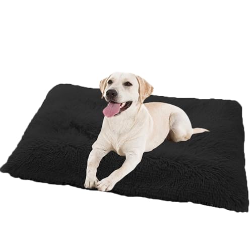 XXIUDEE Rutschfestes Hundebett Hundekissen, Hundekorb Hundekiste Matratze, Katzenbett Haustiere Katzen Kissen, Hundematratze Hundesofa Katzensofa, Haustierbett, für Klein-mittelgroße Hunde(65x48x8cm) von XXIUDEE