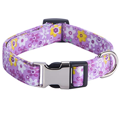 XYART Hundehalsbänder für Mädchen, Rose, Sonnenblume, Gänseblümchen und Leoparden-Design, klein, mittel, groß, für Hündinnen, Gänseblümchen, Violett M von XYART