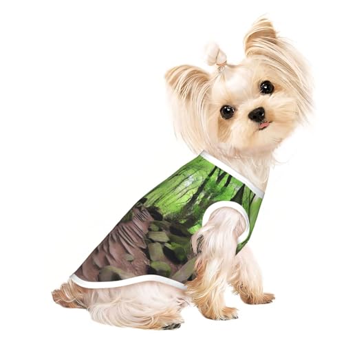 Wanderwege, atmungsaktiv, ärmellos, Größe M, für kleine Hunde und Katzen, weich, bequem, stilvoll Wanderwege, atmungsaktiv, ärmellos, Größe M, für kleine Hunde und Katzen, weich, bequem, stilvoll von XZDAL