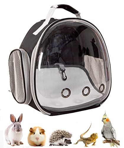 XZKING Meerschweinchen-Tragetasche, transparent, atmungsaktiv, für kleine Tiere, für Vogel, Hase, Bartdrache, Ratten, Hamster von XZKING