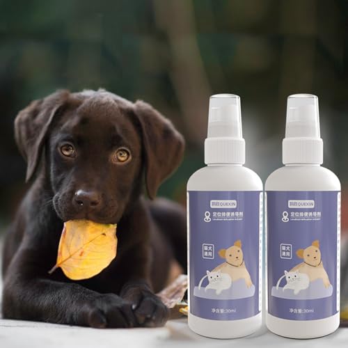 XZincer Hundetoiletten-Trainingsspray, Toiletten-Trainingshilfe-Spray, Attraktiver Duft, Hilft Beim Trainieren von Welpen, Welpenhilfe-Trainingsspray (A, 100ml) von XZincer