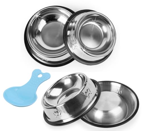 Cat Bowl,4 Stück Edelstahl Katzennäpfe + 1 Stück Katzenfutter Schaufel, Metall Haustier Bowlsl mit Anti-Rutsch-Gummi-Boden, Nahrung und Wasser Feeder für kleine mittlere Hunde Katzen, 16cm. von Xapypy