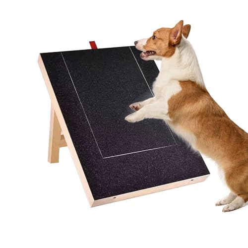 Kratzunterlage für Hunde, Nagelkratzer für Hunde | Kratzblock mit Leckerli-Box - Hundeschneidegerät im Stand-up-Design für kleine und mittelgroße Hunde von Xasbseulk