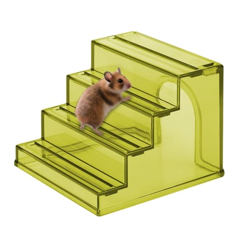 Xasbseulk Hamsterhütte | Hamstermöbel - 2-in-1 Gehegelandschaft Mit Rutschfesten Spielzeug Für Nager Bewegung Futtersuche Knabberbedürfnisse Nistplatz Xasbseulk Hamsterhütte | Hamstermöbel - 2-in-1 Gehegelandschaft Mit Rutschfesten Spielzeug Für Nager Bewegung Futtersuche Knabberbedürfnisse Nistplatz von Xasbseulk