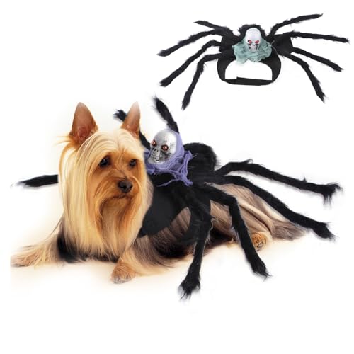 XehCaol Spinnenkostüm für Hunde und Katzen, Spinnenkostüm für Halloween Party Dekoration Haustier Cosplay Kostüm mit verstellbarem Klettverschluss (Grün, Einheitsgröße) von XehCaol