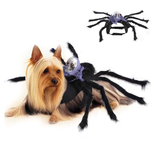 XehCaol Spinnenkostüm für Hunde und Katzen, Spinnenkostüm für Halloween Party Dekoration Haustier Cosplay Kostüm mit verstellbarem Klettverschluss (Lila, Einheitsgröße) von XehCaol