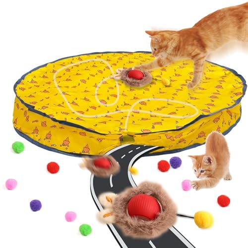 Xerteam Interaktives Katzenspielzeug Ball für Indoor-Katzen, Interaktives Spielzeug für Katzen, Versteckspiel Katzenspielzeug, Schnell rollender Katzenball Spielzeug mit Licht, Ideale von Xerteam