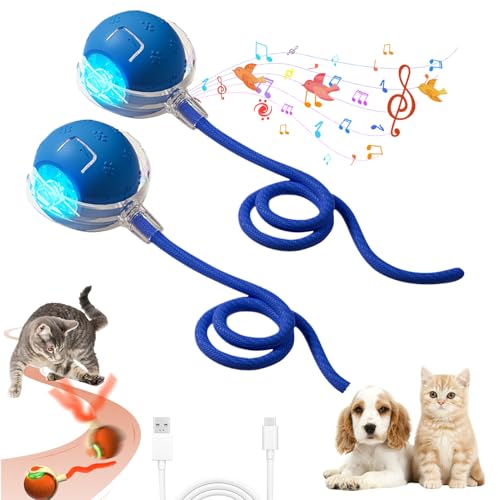 Interaktives Katzenspielzeug Ball, Katzenspielzeug Elektrisch Spielball Mit Schwanz, Katzenspielzeug Selbstbeschäftigung Mit 3 Modi Und „zwitscherndes“ Geräusch 360° Rolling Smart Ball (2*Blau 2) von Xevinas