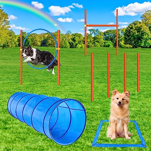 XiaZ Agility-Ausrüstung, Hinderniskurse, Starter-Set, Haustier-Outdoor-Spiele für den Hinterhof, inklusive Hundetunnel, Springring, hohe Sprünge, 4 gewebte Stangen, Pausenbox mit Tragetasche von XiaZ