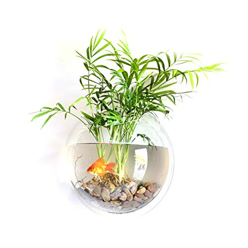 XiaoXIN Hauptdekoration-Wand-Berg-Fischbehälter Goldfish-Schüssel-Acryl-hängende Aquarien-nf-n-Vase von XiaoXIN